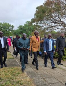 Zimbabwe land title deeds programme 'accesses wealth' - Kuda Tagwirei